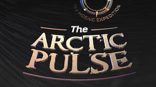The Arctic Pulse