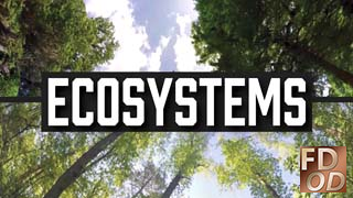 Ecosystems