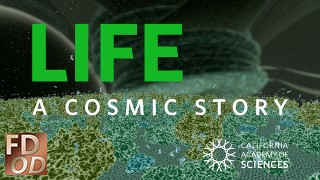 Life: A Cosmic Story
