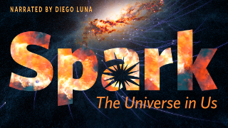 Spark: The Universe in Us